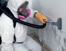 Why You Should Choose Our Mold Remediation Services in Crest View Heights, NY